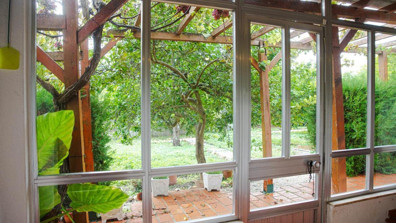 Villa Casa Do Avo Machado Abrantes Exterior foto